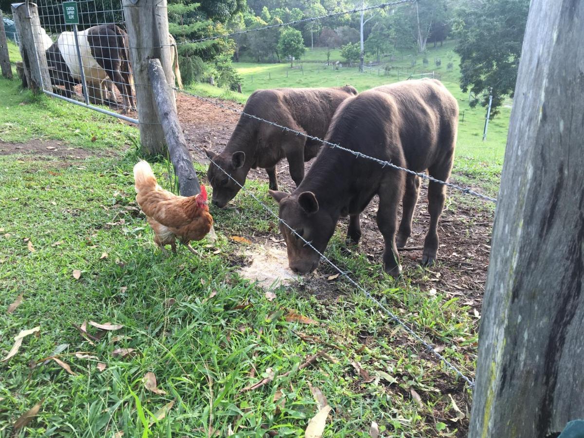The Croft Bed And Breakfast Murwillumbah Exterior foto