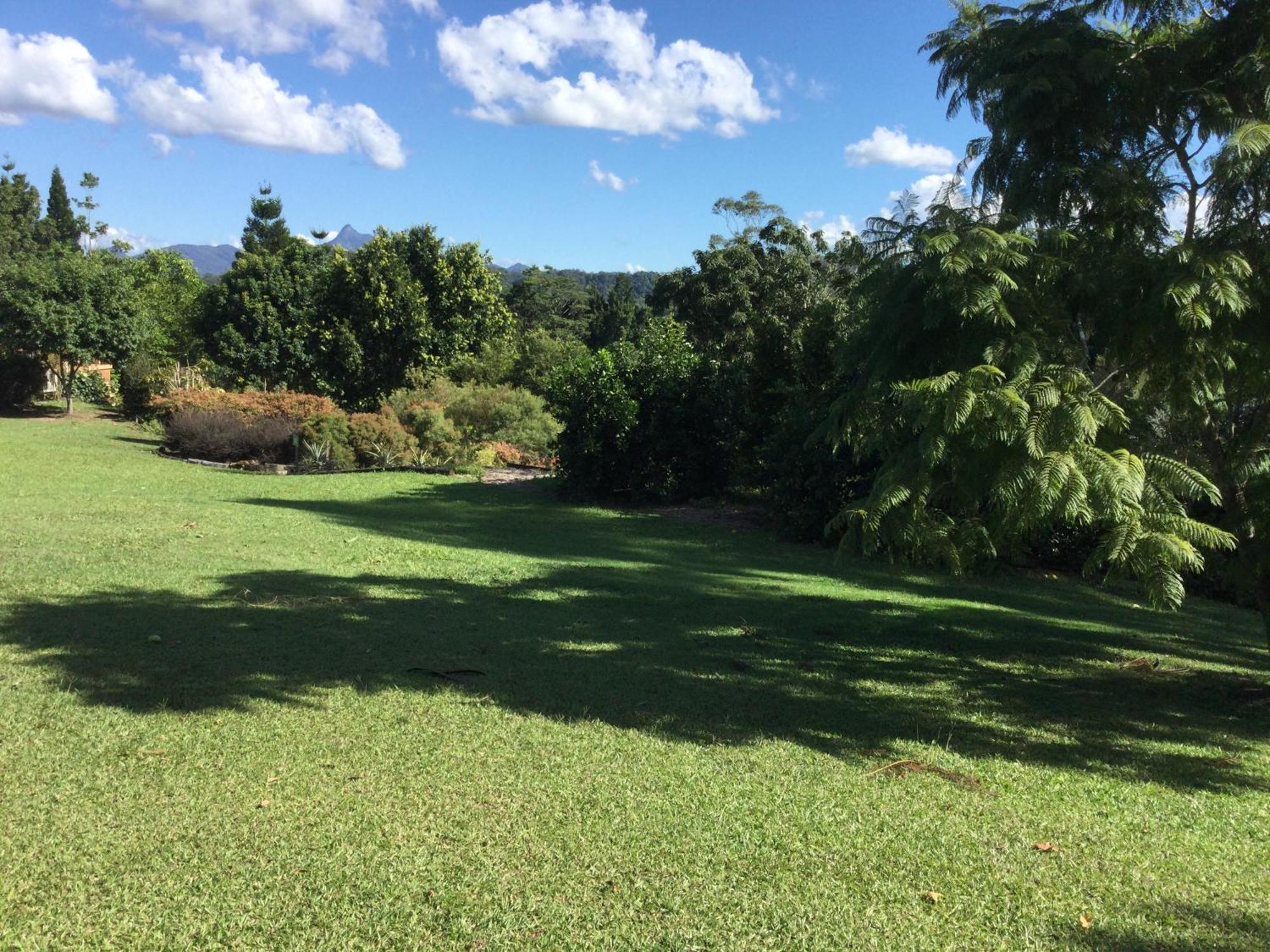 The Croft Bed And Breakfast Murwillumbah Habitación foto