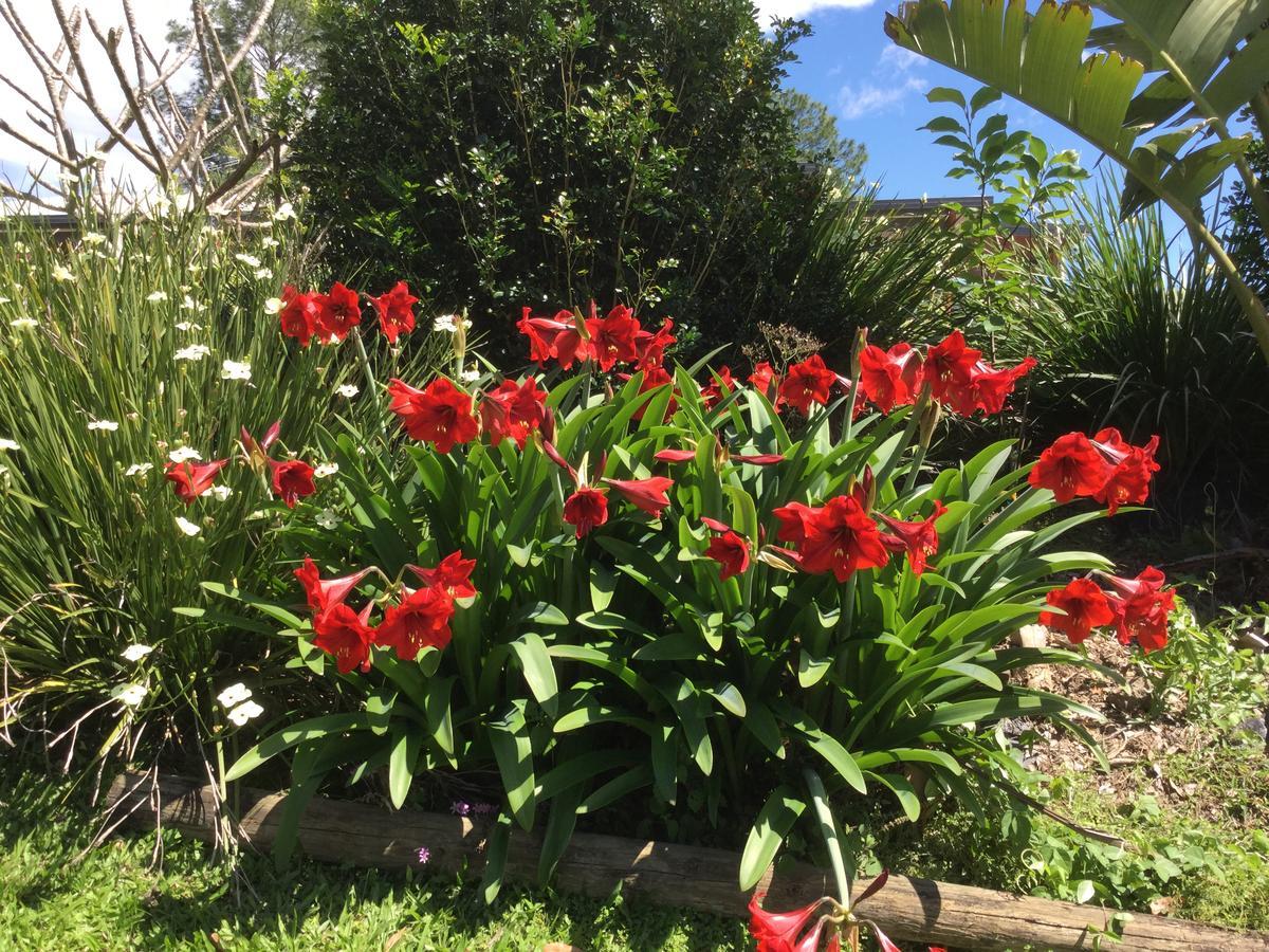 The Croft Bed And Breakfast Murwillumbah Exterior foto